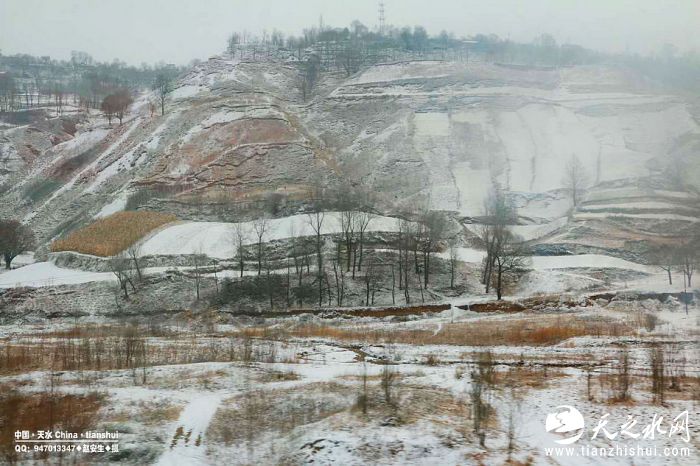 nEO_IMG_646521812889260002