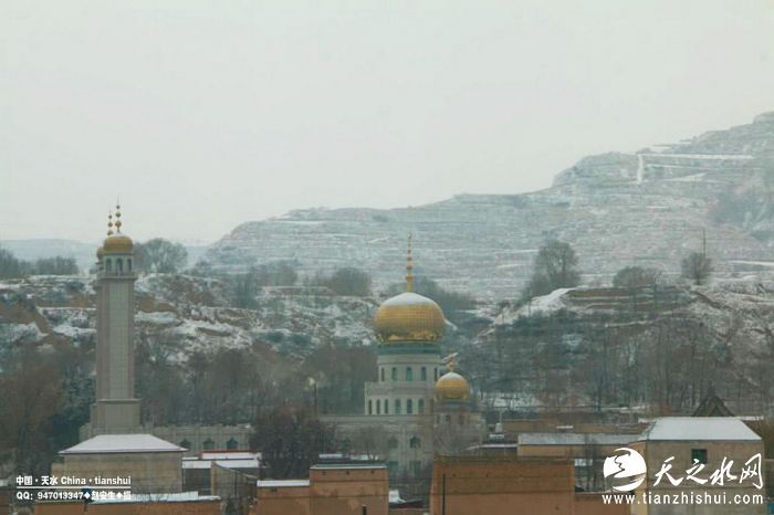 nEO_IMG_913215102463693034