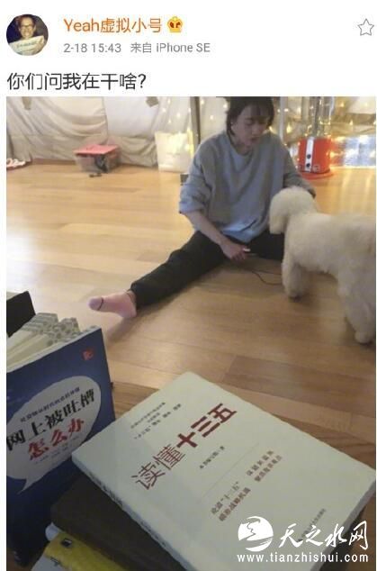 郑爽用小号晒逗狗照
