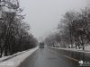 伴随此次降雪而来的还有大雾，受此影响，飞机和班线车的通行受阻，对市民出行带来不便。