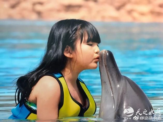 王诗龄亲吻海豚