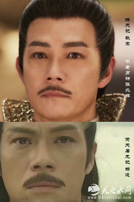 教宗竟是史上最帅杨逍