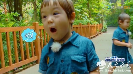 《不可思议的妈妈》收官舞会 叶一茜何洁等妈妈们不舍告别