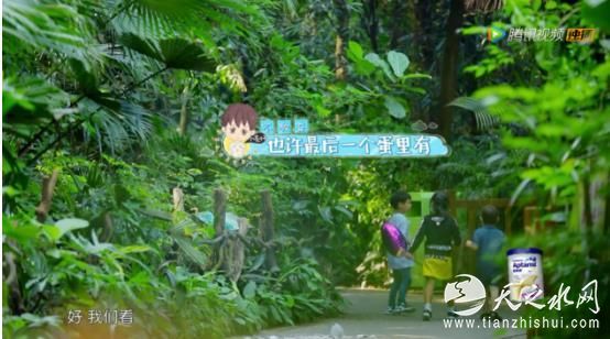 《不可思议的妈妈》收官舞会 叶一茜何洁等妈妈们不舍告别