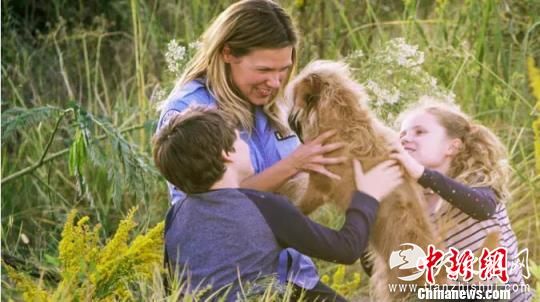 电影《神探狗笨吉》剧照。　片方提供 摄