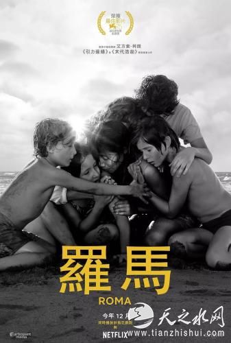 《罗马》海报
