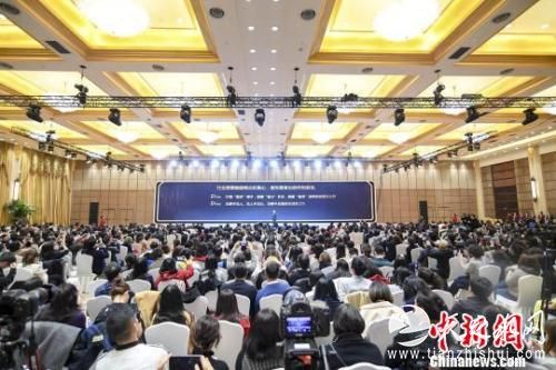 2019上海电视剧制播年会5日在上海举行。　康玉湛　摄