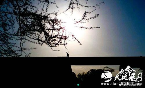 《共同命运》-镜头里的真实力量