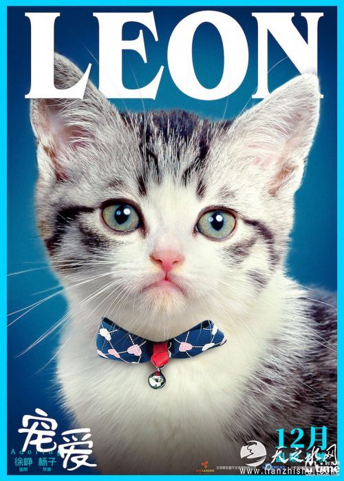 LEON在《宠爱》中饰演726