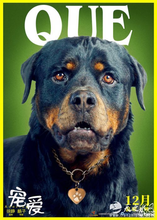 QUE在《宠爱》中饰演豪七