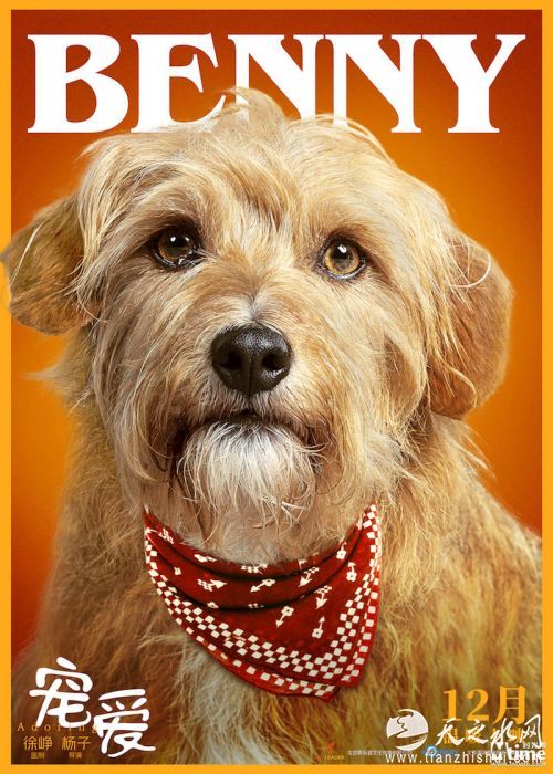 BENNY在《宠爱》中饰演巴顿