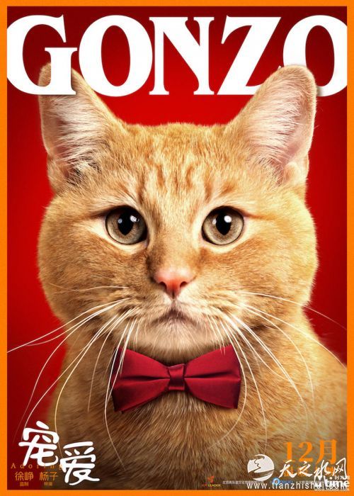 GONZO在《宠爱》中饰演呼噜