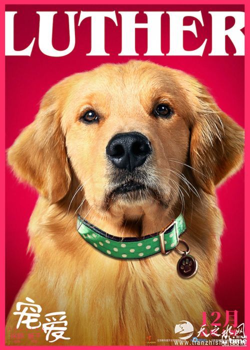 LUTHER在《宠爱》中饰演小扎