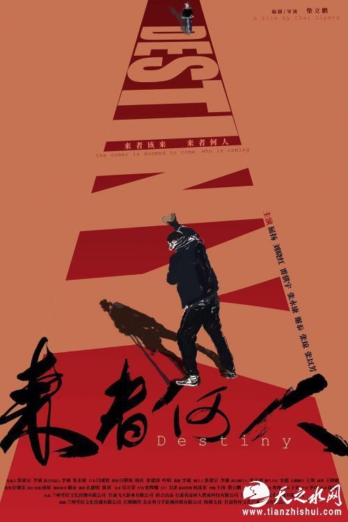 电影《来者何人》海报