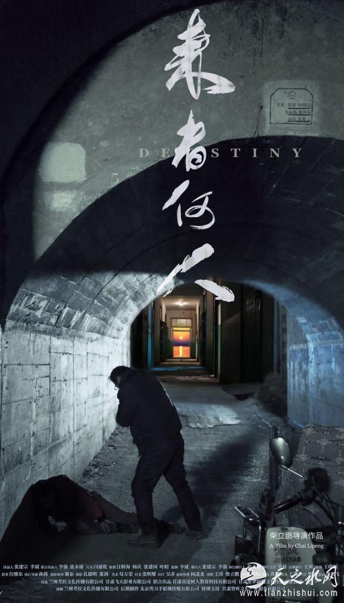 电影《来者何人》海报