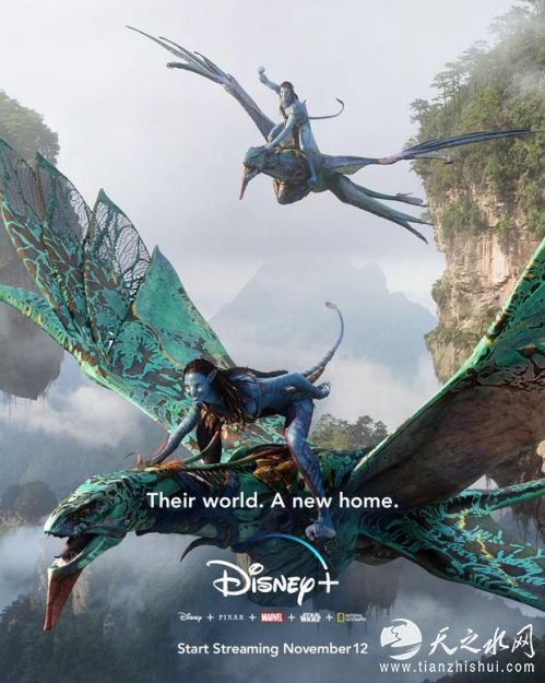 《阿凡达》飞向流媒体世界