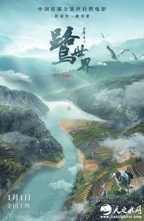 《鹭世界》山河版海报