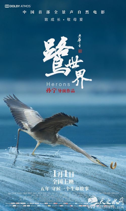鹭世界新海报