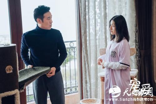 0e0bd8cfj00q3o00p00kfc0010400o3c