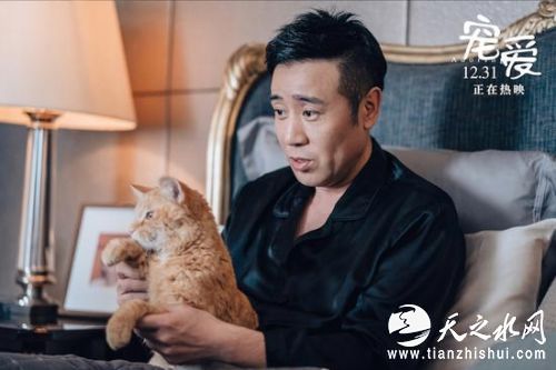 16a27e97j00q3o00p00lhc0010400o3c