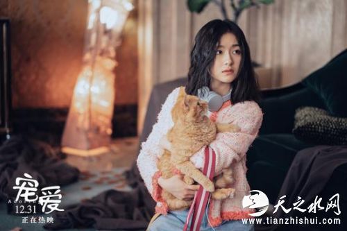 72429b53j00q3o00p00ksc0010400o3c