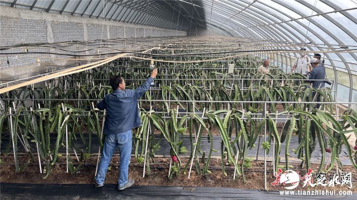 FZ007211529362_A3158578