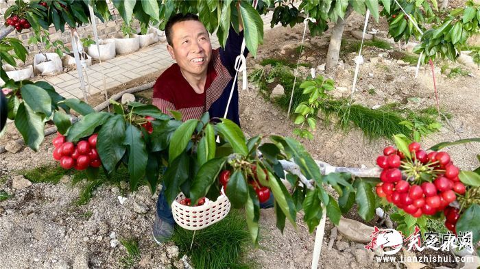 FZ007211529362_A3158576