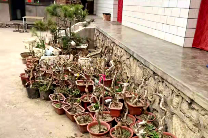 80P_`T)PPUT6WVE50]DDA79