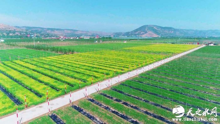 1.jpg?x-oss-process=style/w10