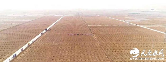 4.jpg?x-oss-process=style/w10