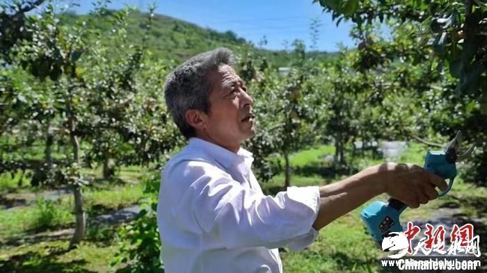 甘肃逾2万名农民获评职称“田秀才”献“智”乡村沃土