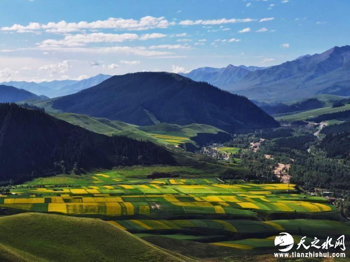 祁连山下好风光。本报记者  姜峰摄.jpg?x-oss-process=style/w10