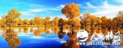 在甘肃，拥抱壮美山川璀璨文明