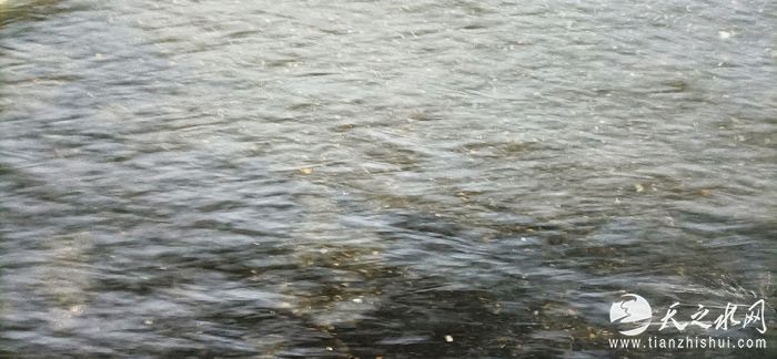 nEO_IMG_微信图片_20220715204945