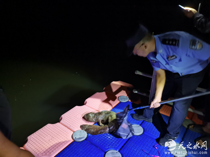 group1_M00_39_A5_FB4EyWLeS3-AS-LoABKTsqZ-YU0285