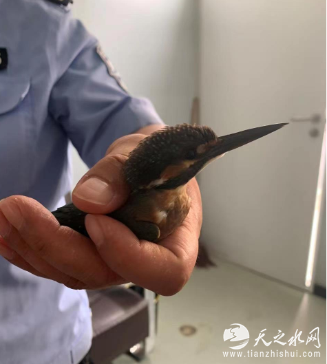 JI4AR]1L$EELO{QT3AH9%$1