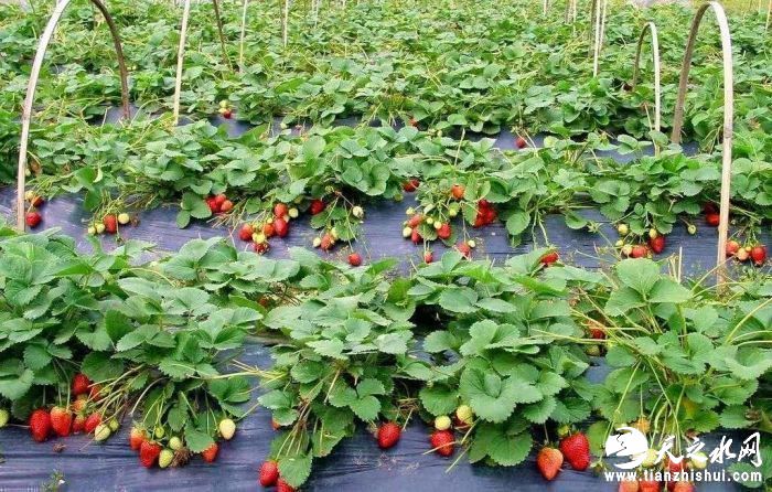 a2c53032cf91c587731b1c575fb00c1.jpg?x-oss-process=style/w10