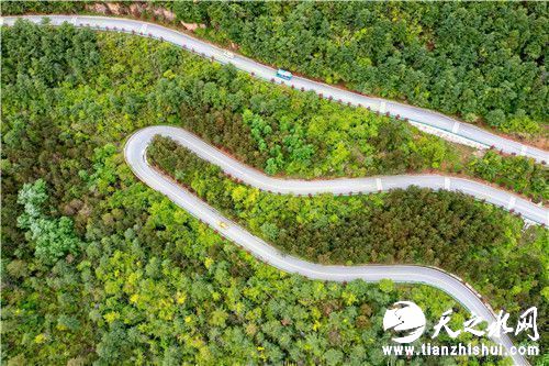 成县农村公路在青山中环绕，美丽如画。陈争强 摄