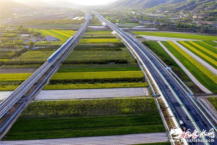 银西高铁动车穿越董志塬。新甘肃·甘肃日报通讯员 王世军.jpg