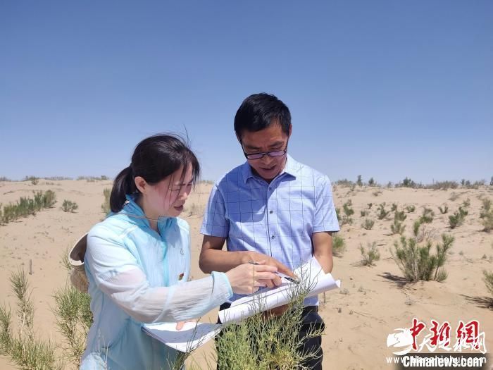 姜莉玲与同事记录相关数据。(资料图) 受访者供图