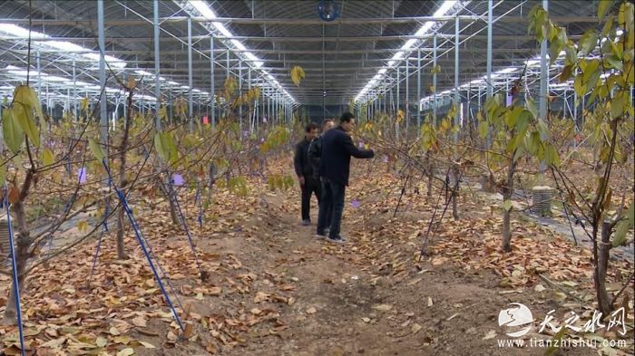 图片2.png?x-oss-process=style/w10