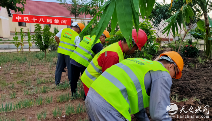 中铁十八局集团乌干达公司职工在营地“开心农场”给蔬菜除草施肥（何潇 摄） (2)