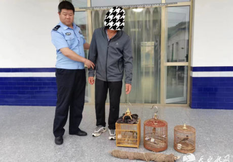 天水市公安局麦积分局森林警察大队再次破获一起非法狩猎案件