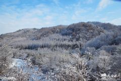 大年初四 ：秦州区李子园瑞雪纷飞兆吉祥（组图）