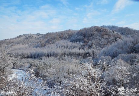 大年初四 ：秦州區李子園瑞雪紛飛兆吉祥（組圖）