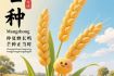 穆明祥：乙巳芒种