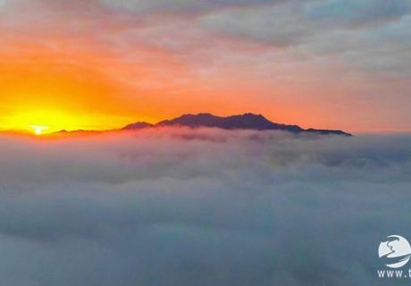 天水白音山：云海绘就水墨梦，诗意治愈尘世人