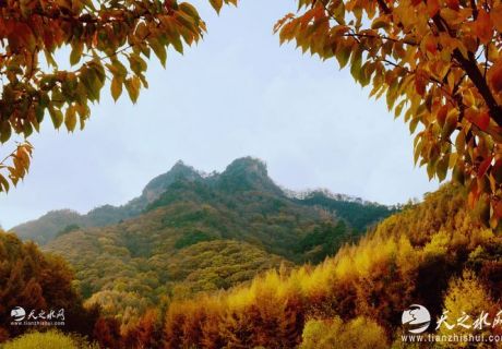 秋染天水白音山双乳峰：一幅大自然馈赠的立体画卷