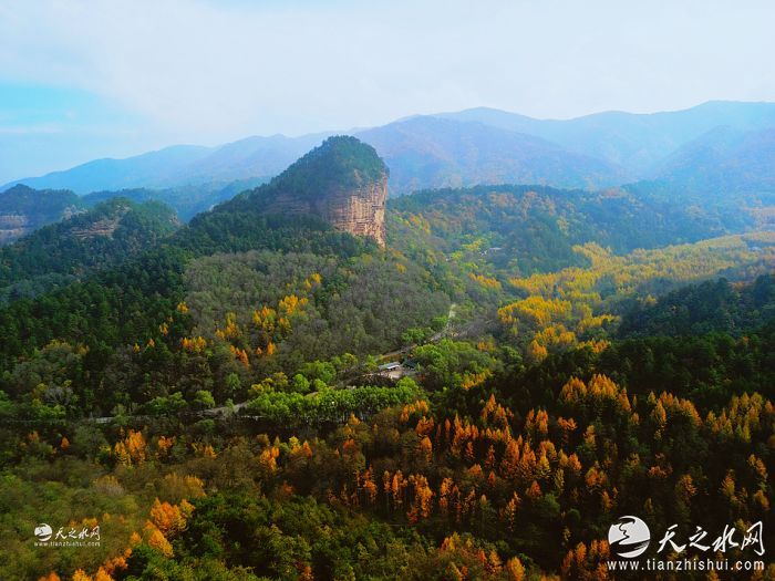 nEO_IMG_QQ_1762248362130