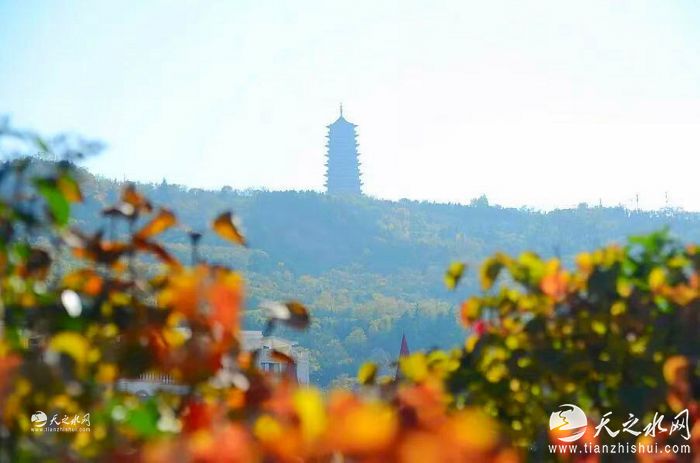 nEO_IMG_微信图片_20251104173846_539_269